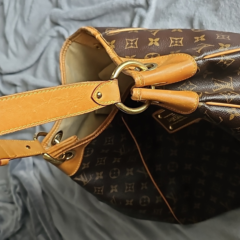 Louis Vuitton Galliera GM - Picture 11 of 14